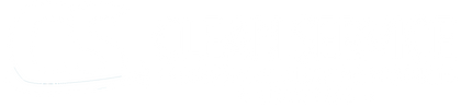 Clean Service - Logo