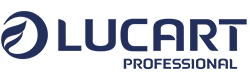 Clean Service - logo Lucart