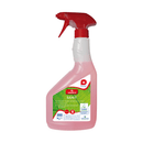 Nettoyant sanitaire écologique GREEN'R Sanit (750ml) - Clean Service