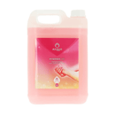 Savon pour mains AEQUO (5L) - Clean Service